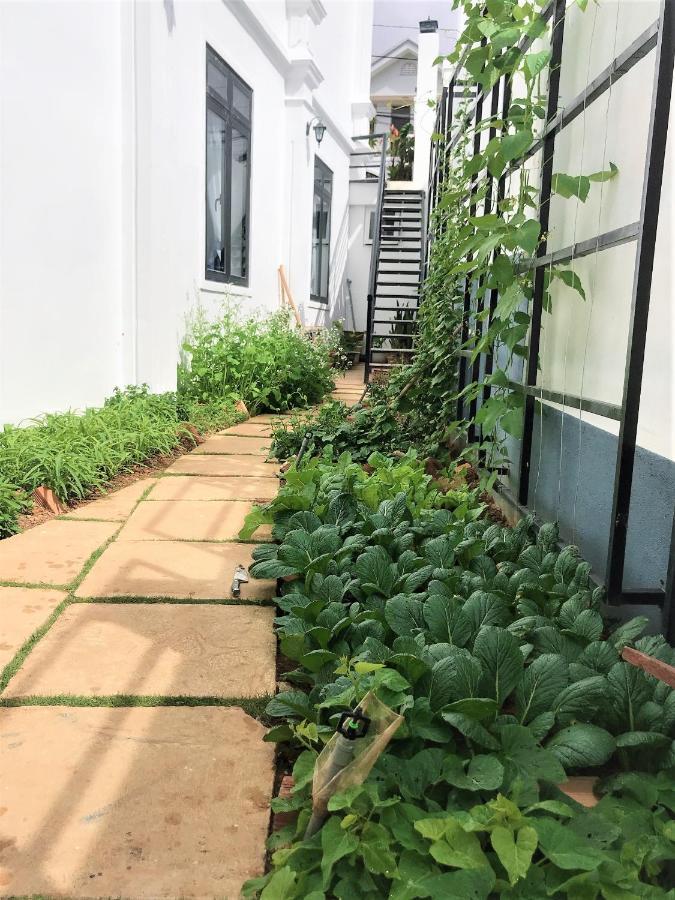 Duong Xua Villa Dalat Exteriör bild